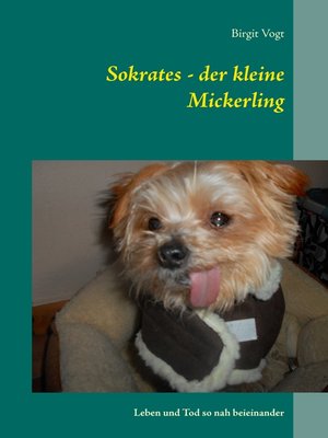 cover image of Sokrates--der kleine Mickerling